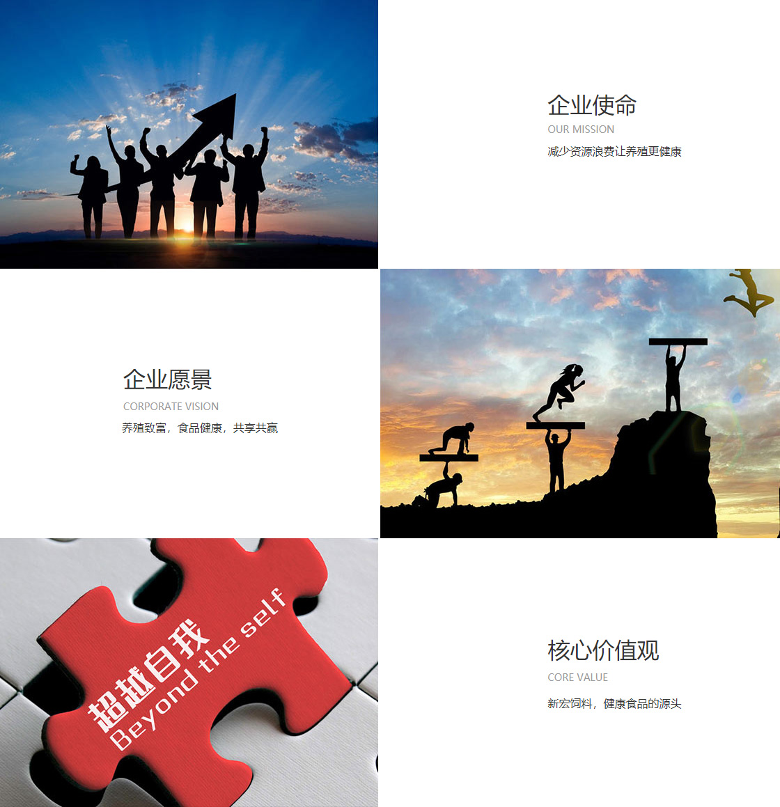 币游国际app官方入口(图1)